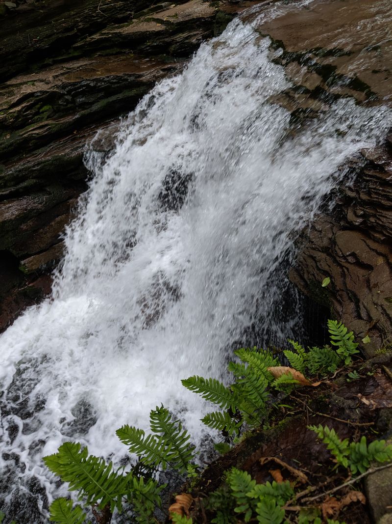 Seasonal Water Flow Changes The Falls Year-Round
