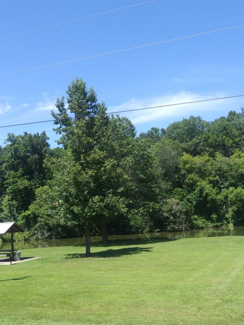 Picnic Areas Designed For Actual Use