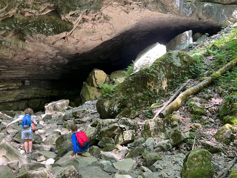 Gear That Earns Its Keep