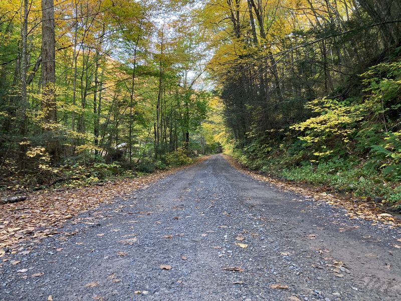 Set In Pennsylvania's Endless Mountains Region