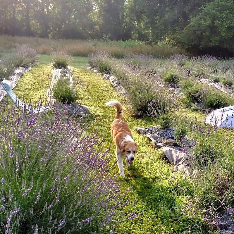 Customer Stories That Carry Weight