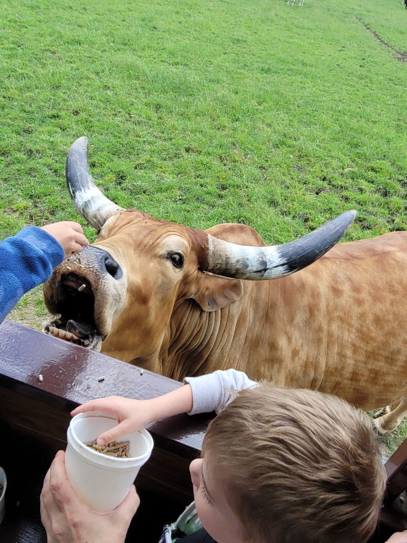 Practical Tips That Save Time And Keep Clothes Clean