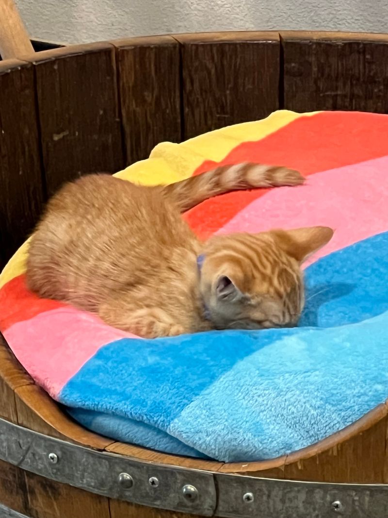 The Atmosphere Feels Calmer Than You'd Expect