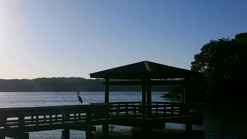 Booker T. Washington State Park