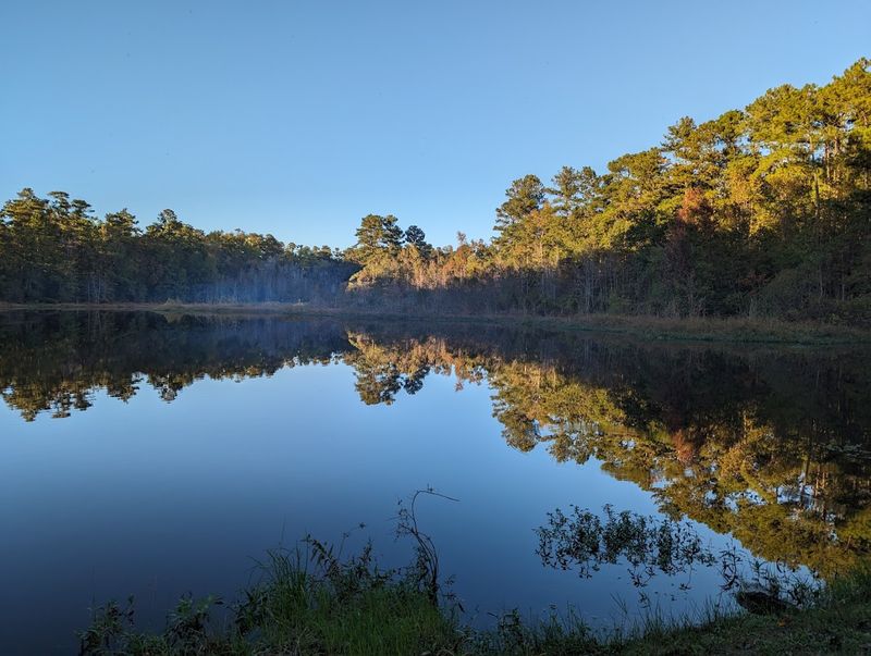 Barnwell State Park (Barnwell)