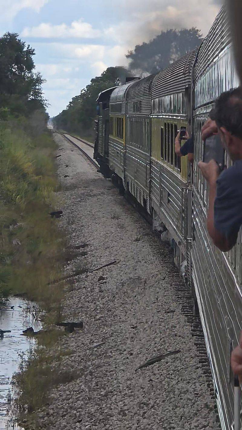 The Ride Offers A Unique Perspective On Florida Beyond Cities