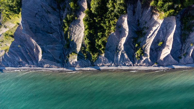 Wildlife Moments Reward The Patient Walker