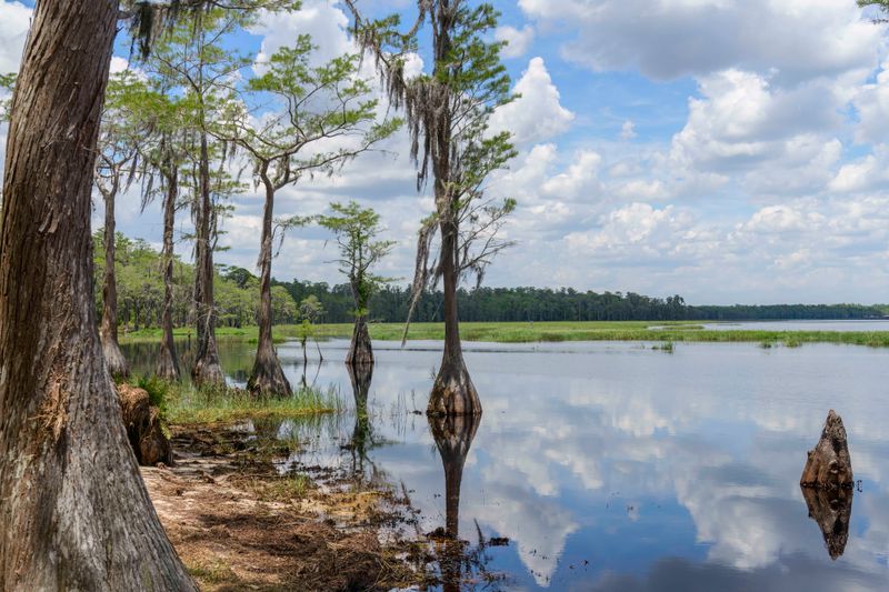 A Cooler-Weather Favourite For Locals