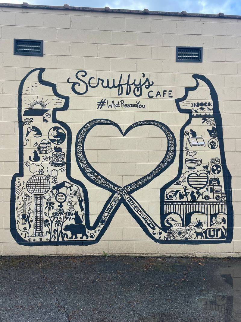 Contact Details And Final Tips