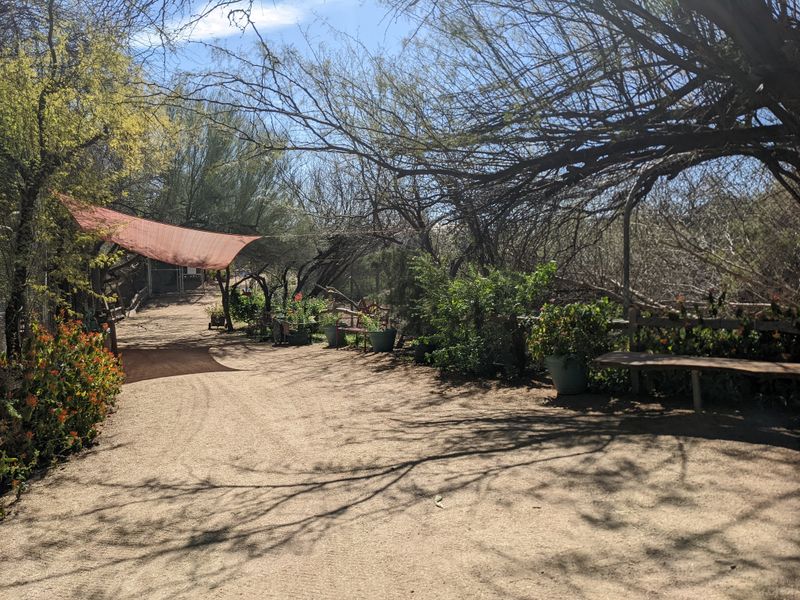 Quiet Desert Setting Supports Animal Wellbeing