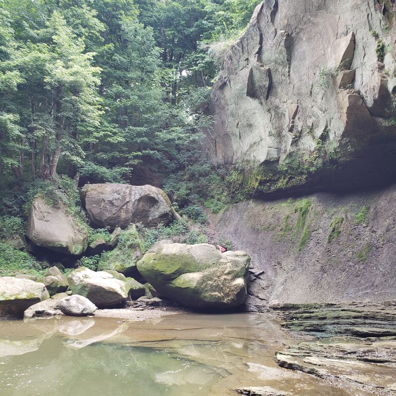 Perfect For Picnics, Photos, And Quiet Reflection