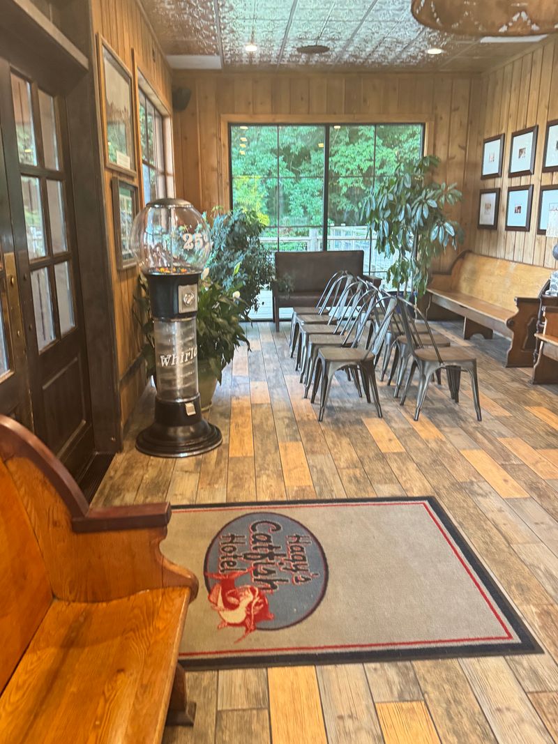 Frog Legs, Cajun Catfish, And Regional Curiosity