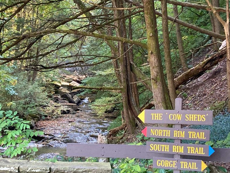 North Rim And South Rim Perspectives