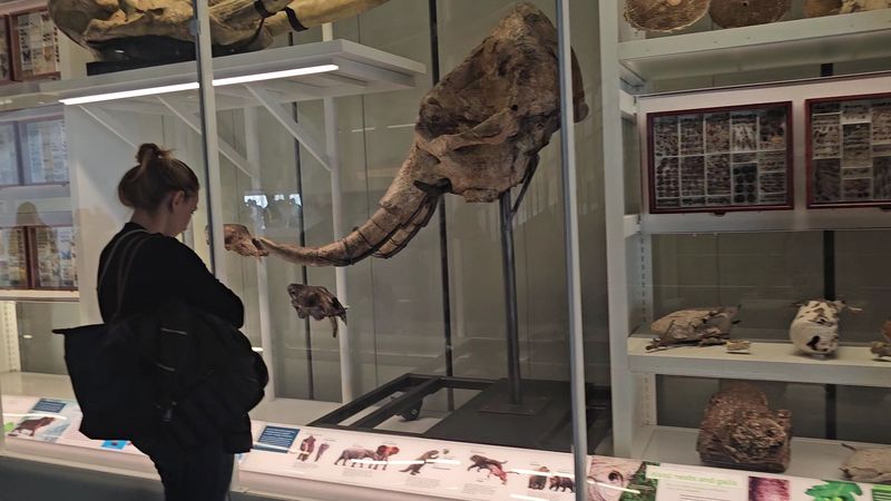 The Story Of Pressure, Heat, And Time