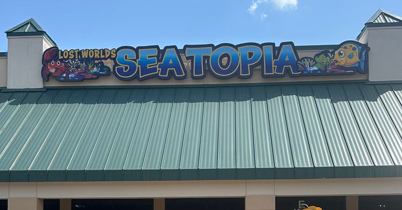 Parties With Room To Improve