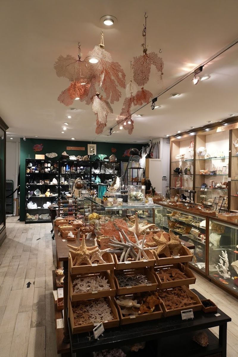 Fossils And Prehistoric Finds That Bring Deep Time Into Focus