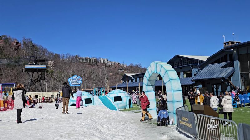 A Tramway That Sets The Pace