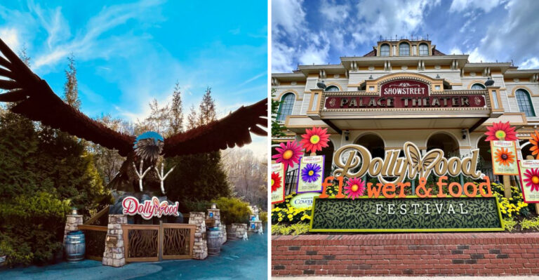 The 165-Acre Amusement Park In Tennessee That Turns Adults Into Kids Again