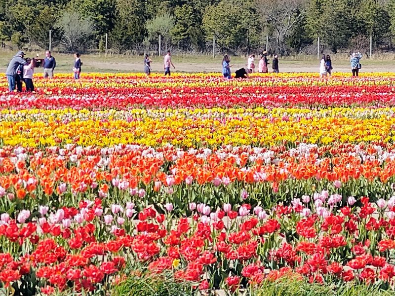 Value Proposition That Actually Delivers