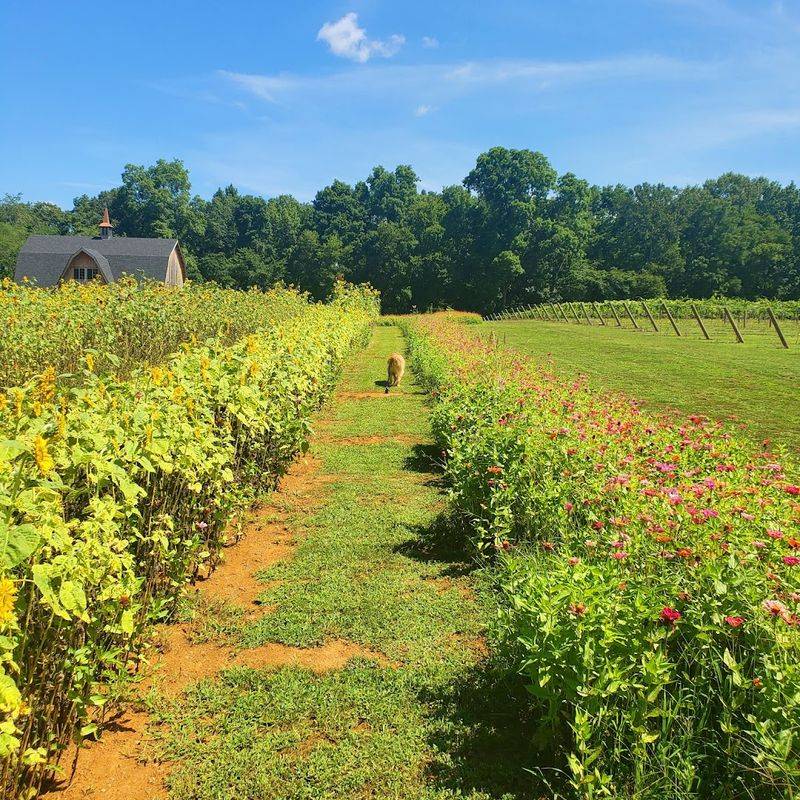 Family-Friendly Activities That Go Beyond The Flowers