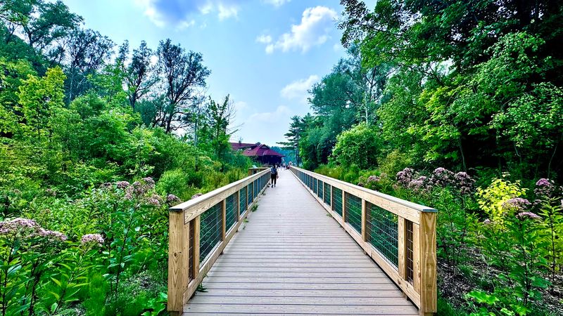 Trails That Circle Color And Slip Into Forest