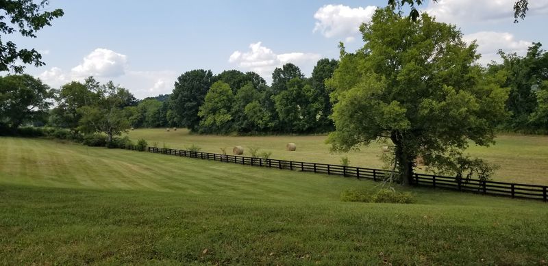 First Light On Old Hillsboro Road