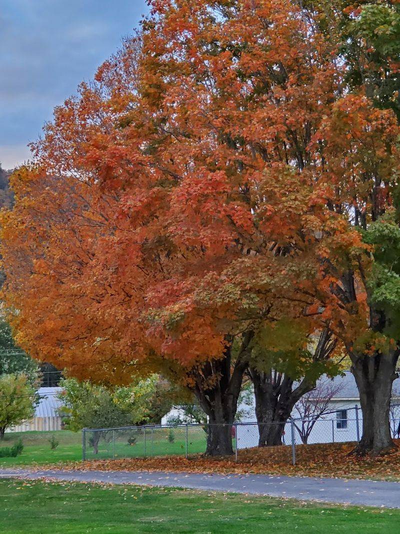 Unicoi County Apple Festival And Seasonal Celebrations