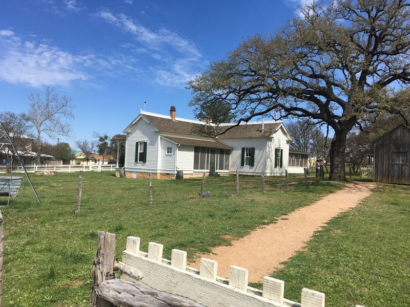 Spring Wildflowers Paint The Roadsides In Colour