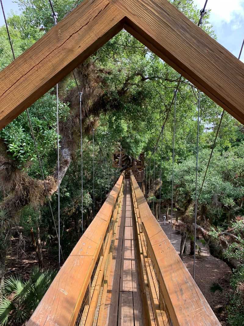 You'll Walk Through Oak Hammocks And Palm Forests