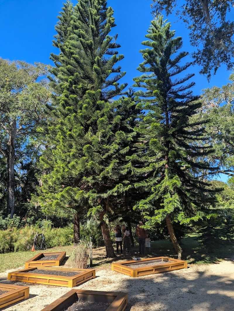 Birdwatching And Wildlife Viewing In Washington Oaks Gardens