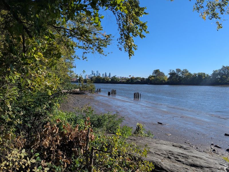 A Tranquil Escape In The Heart Of Philadelphia