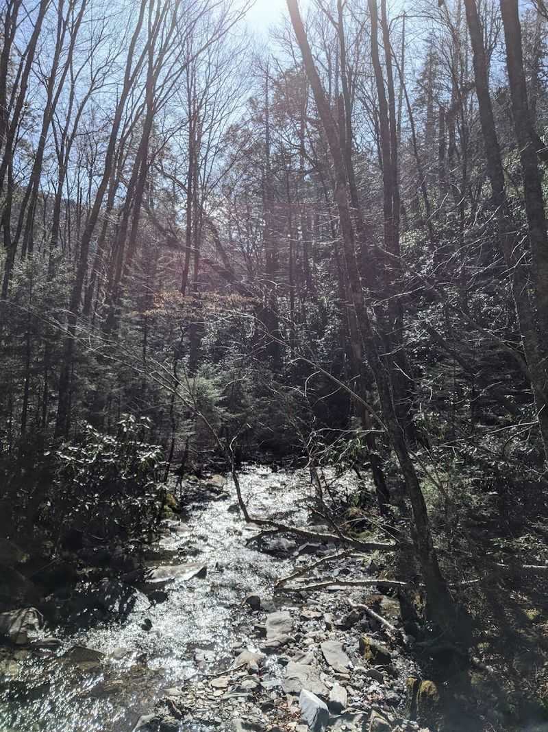 Creek Crossings And Waterside Walking That Calm The Mind