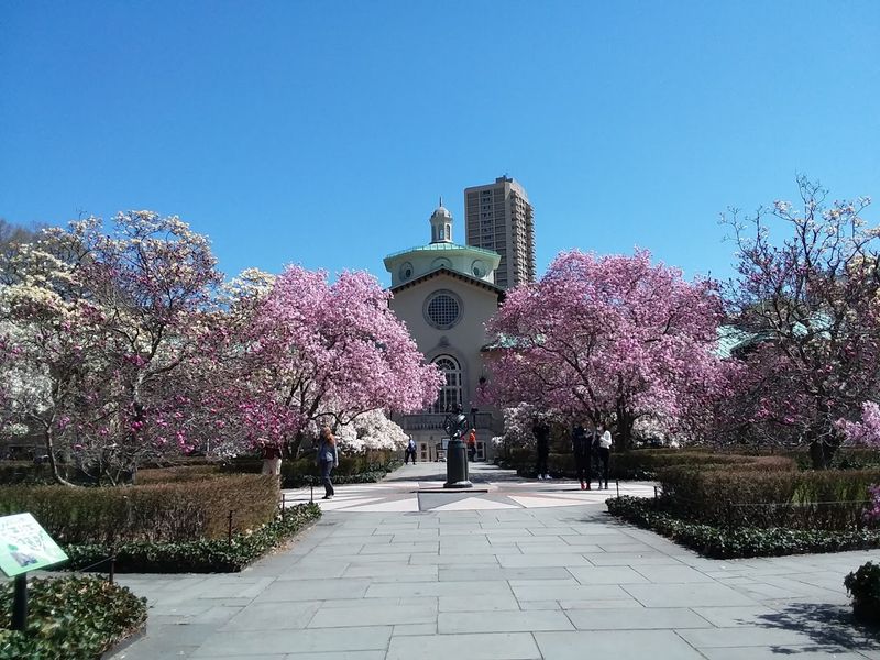 Cherry Blossom Season Turns This Place Into Pure Magic