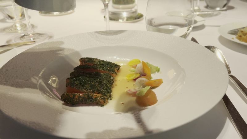 The First Glimpse Of King Salmon