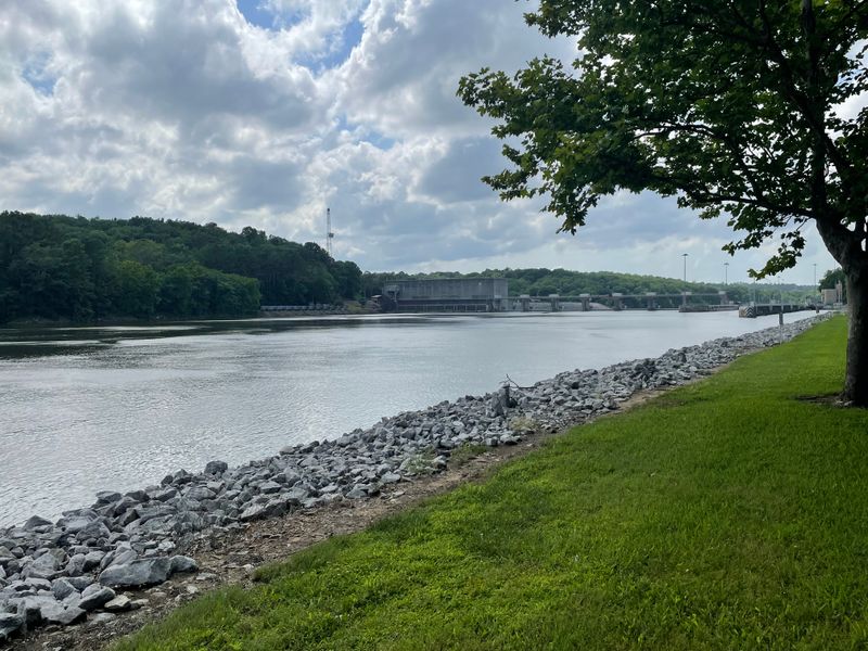 Wildlife Encounters That Happen Without Effort