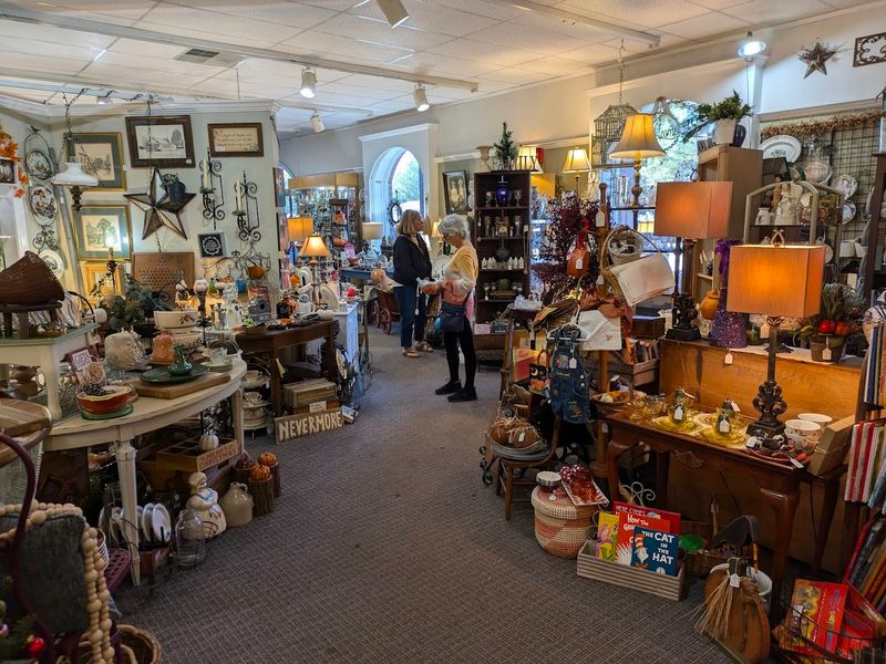 Exploring Little Mountain Unlimited's Vast Collection