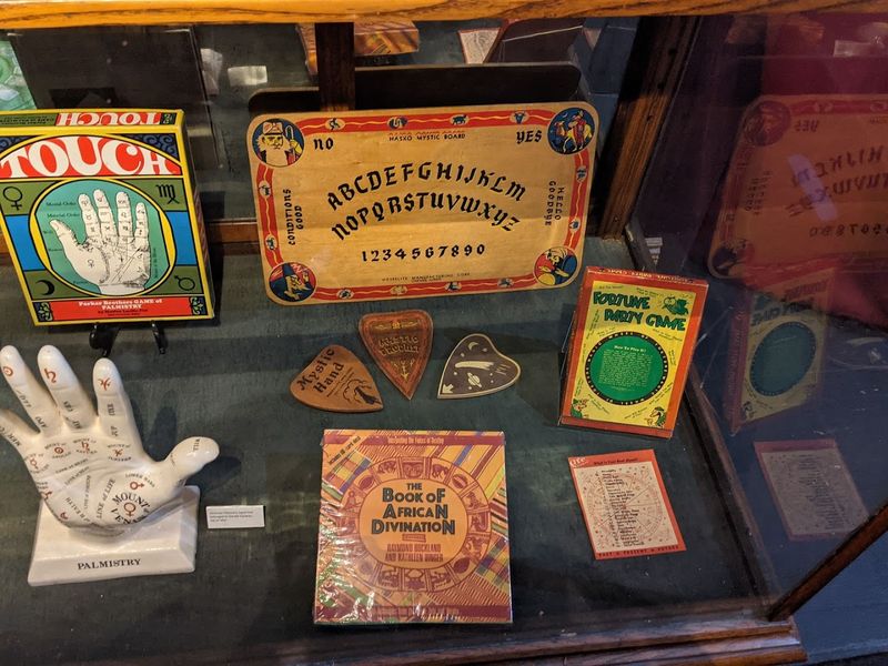 Why Buckland Museum Is A Must-Visit For Curious Souls