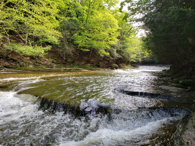 A Park Built For Understatements