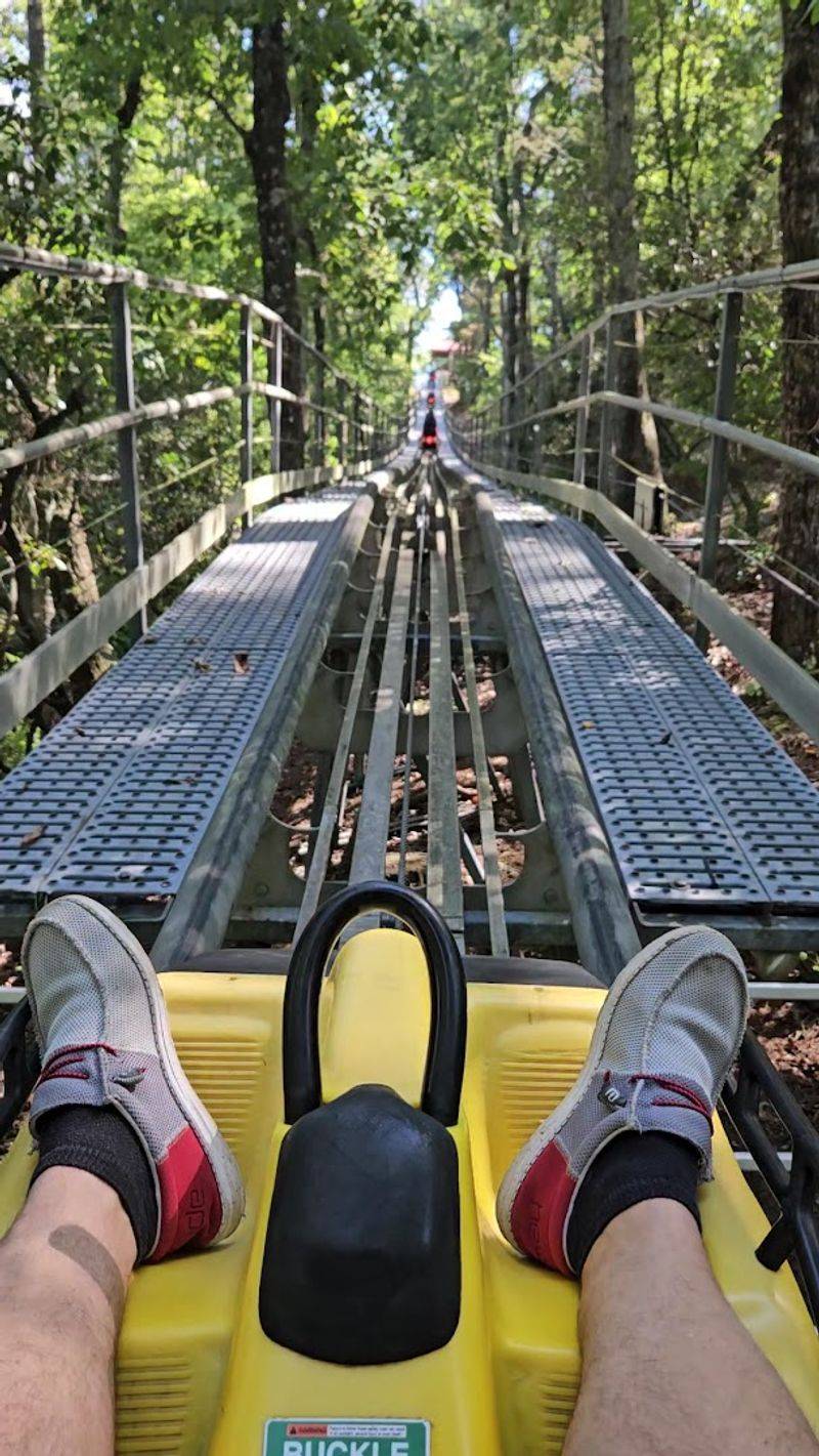 Riders Control Their Own Speed On The Track