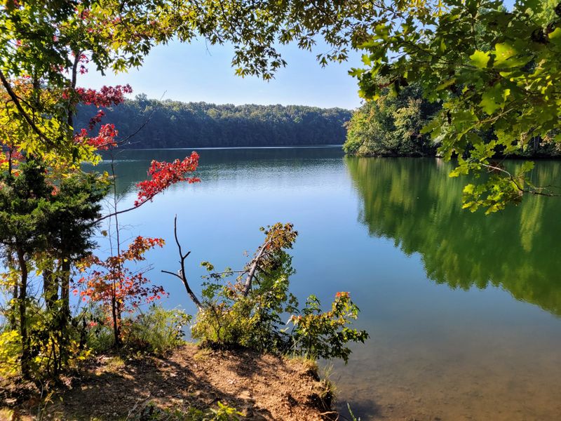 A Lake That Shapes The Day