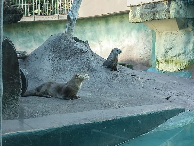 Wildlife Encounters That Earn Respect