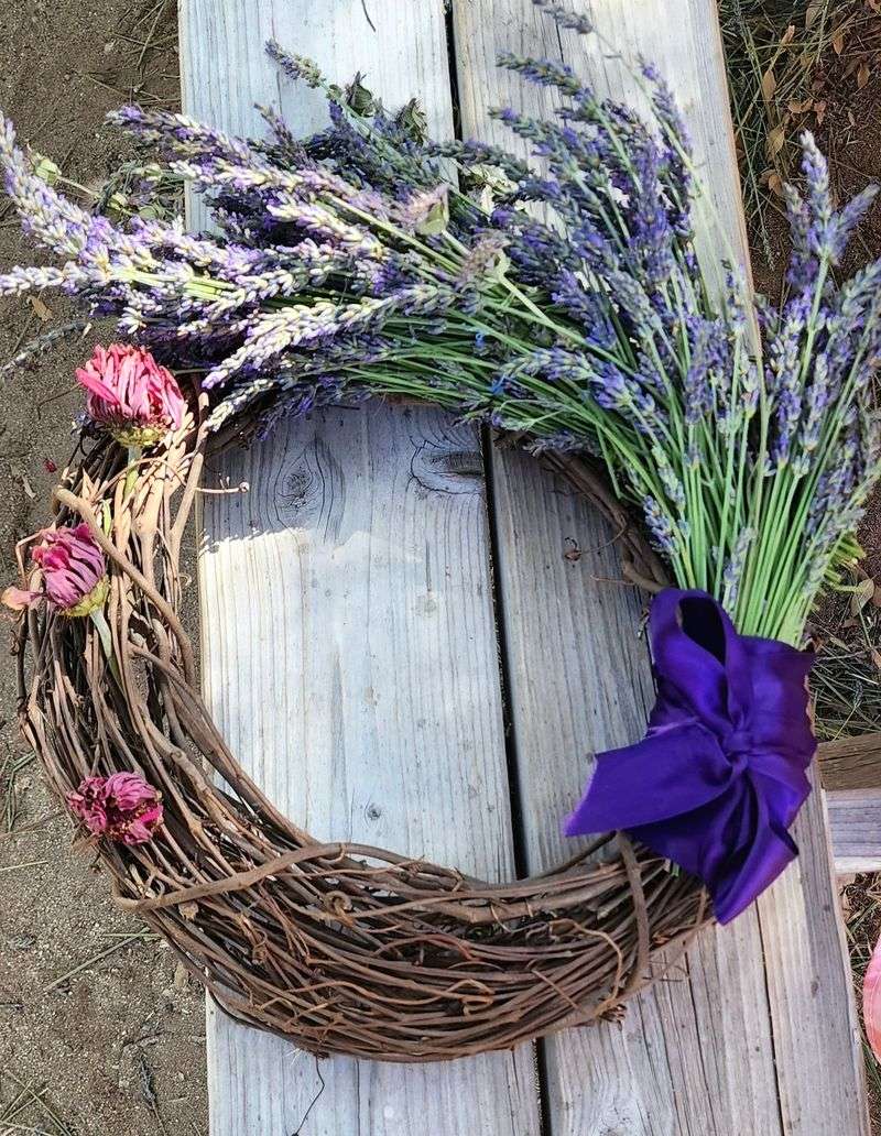 Oracle's Location Makes It A Peaceful Day Trip