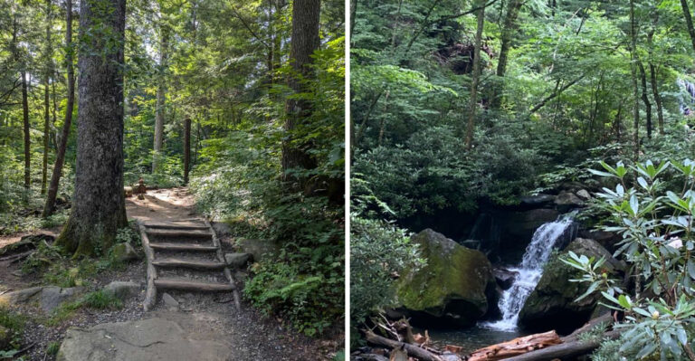 The Short And Easy Hike In Tennessee That’s Too Beautiful To Miss This Year