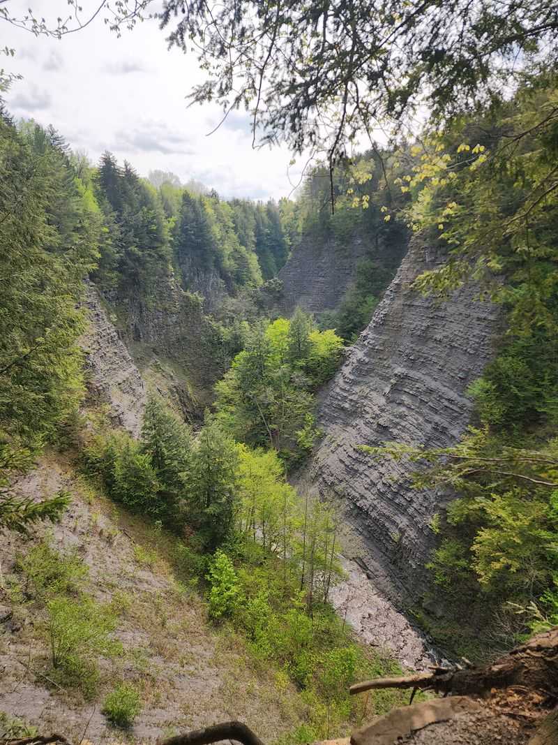 Finding The Name And The Nerve