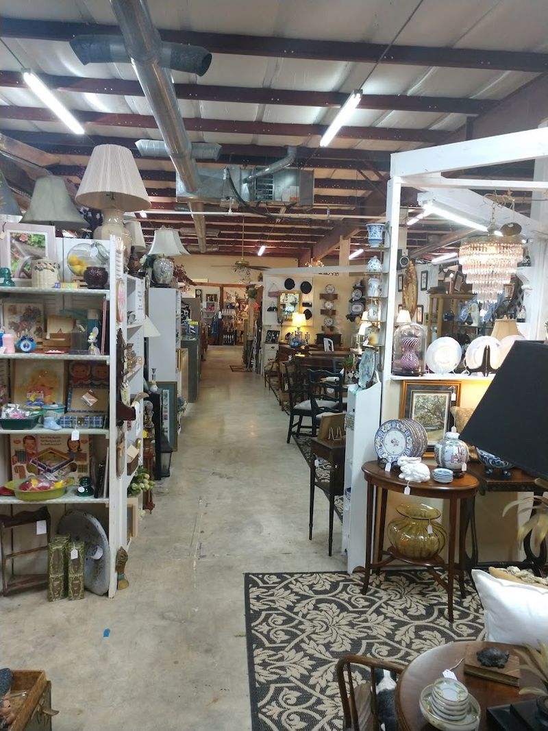 A Collector's Paradise In Little Mountain