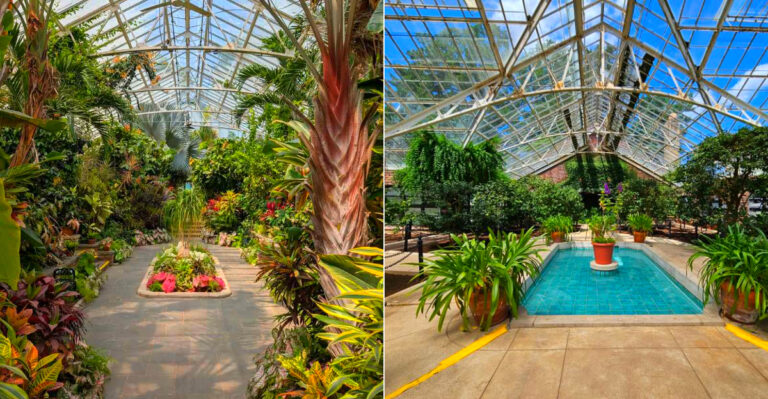 The Stunning Botanical Garden In New York That You May Have Never Heard Of
