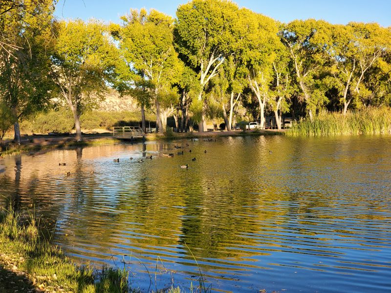 Birdwatchers Flock Here For Diverse Species And Quiet Vantage Points