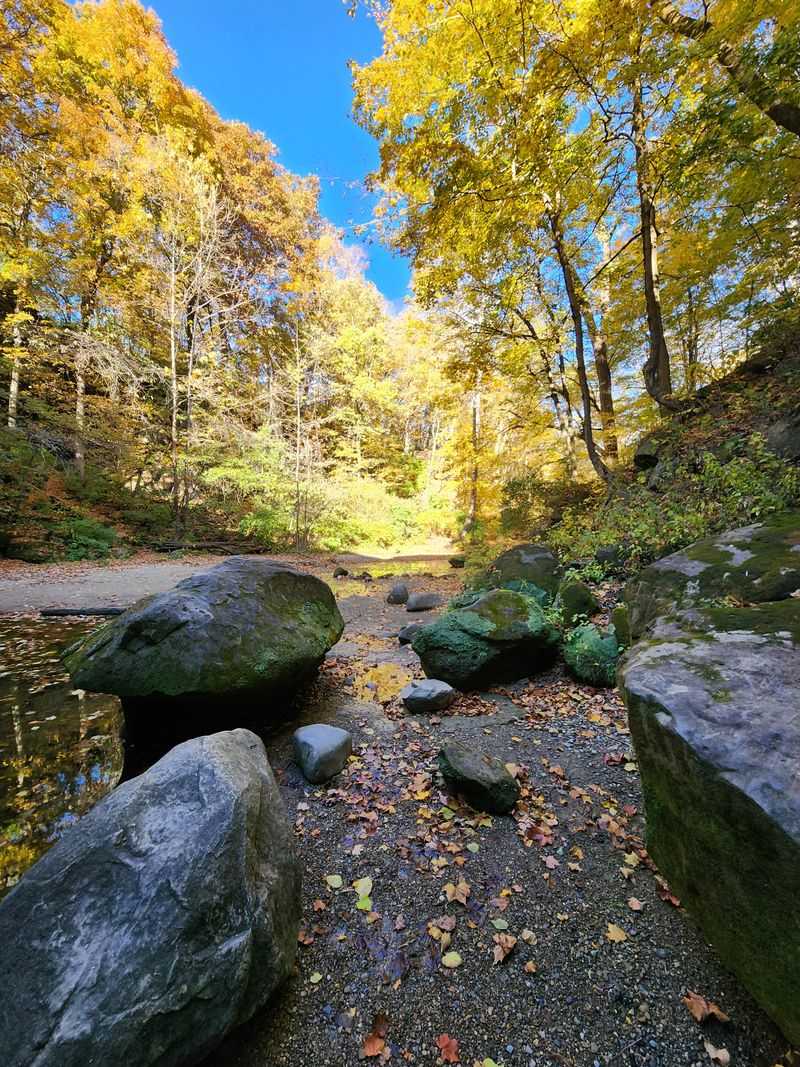 Surrounded By Lush Greenery And Peaceful Trails