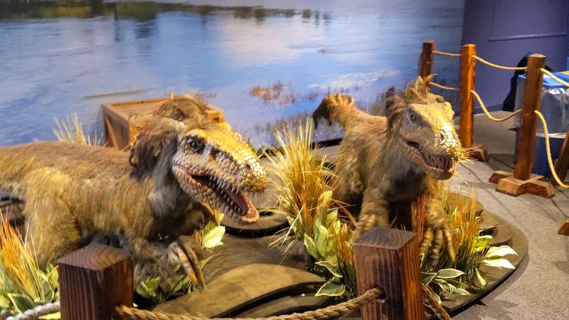 Rochester Museum & Science Center