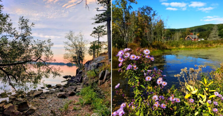 These 14 Scenic State Parks In New York Are So Hidden, You’ll Have Them All To Yourself